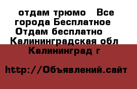 отдам трюмо - Все города Бесплатное » Отдам бесплатно   . Калининградская обл.,Калининград г.